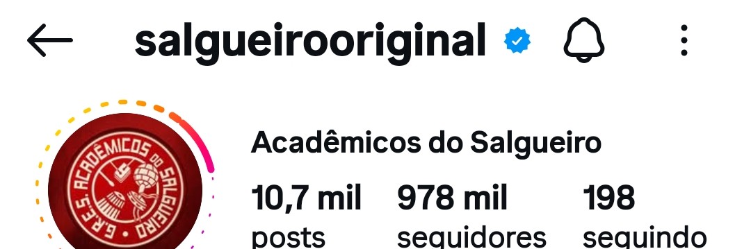 ACADÊMICOS DO SALGUEIRO